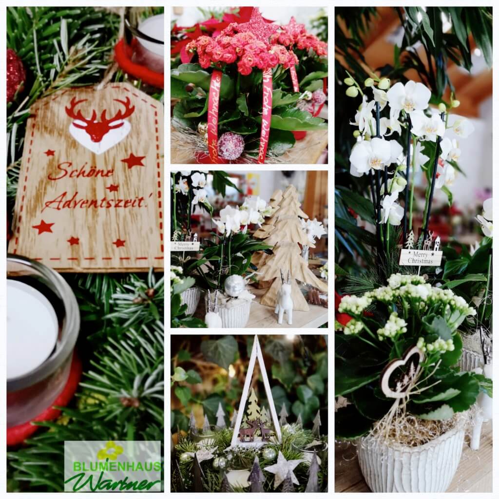 Blumenhaus Wartner wünscht Schöne Adventszeit